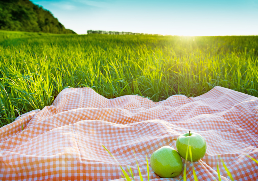 Piknik na zielono