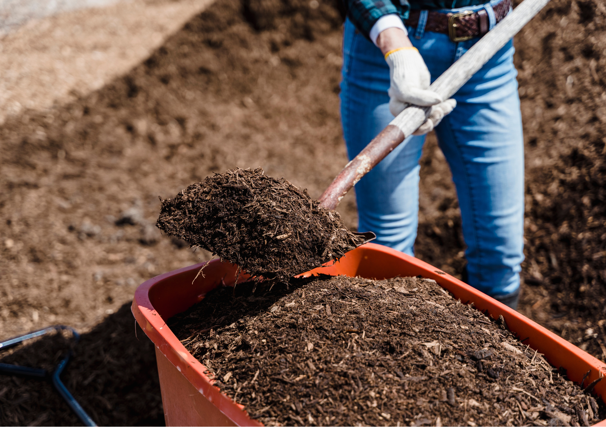 Ruszyła akcja Czarne złoto ogrodników